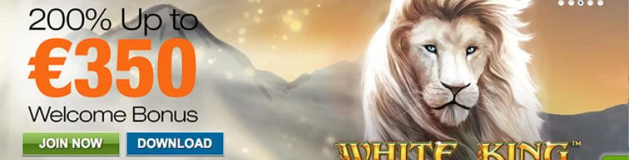 Winner Casino